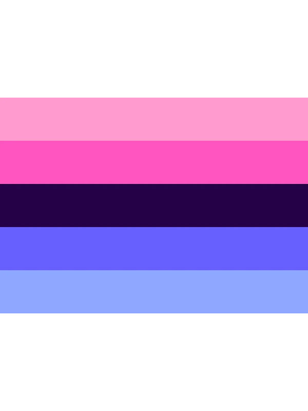 OMNISEXUAL FLAG 95 CM x 158 CM