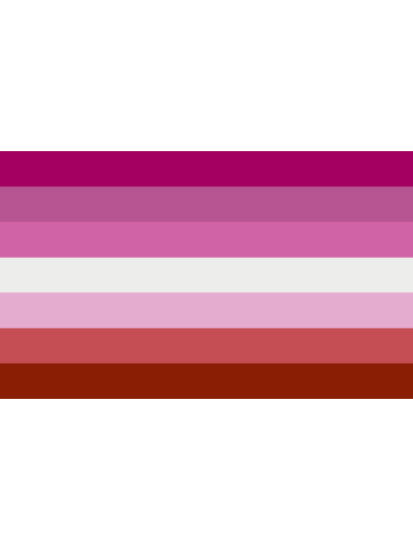 LESBIAN FLAG 95 CM x 158 CM