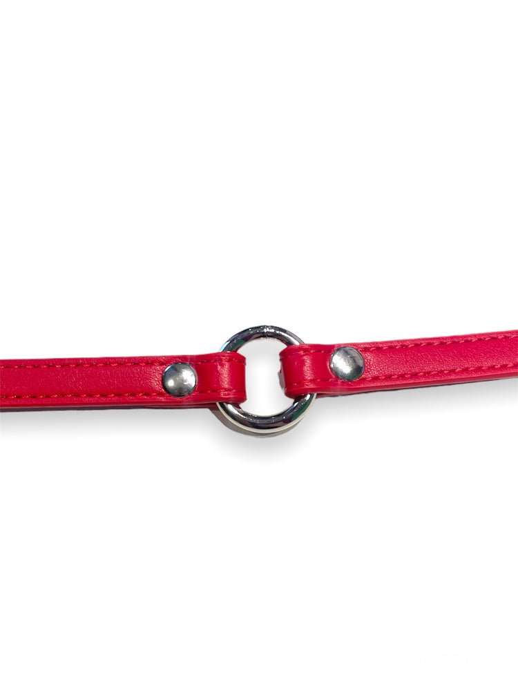 
            
                Bild in den Galerie-Viewer laden,FUNK PLUS SIMPLE THIN O-RING RED CHOKER VEGAN CK168
            
        