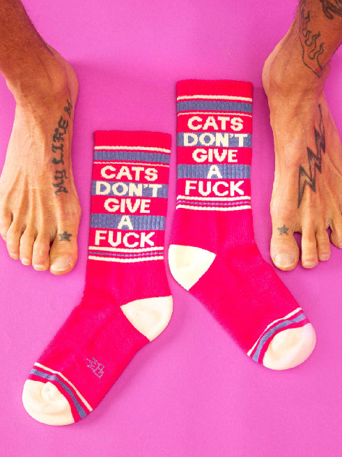 GUMBALL POODLE CATS DON'T GIVE A FUCK